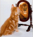 chat miroir lion
