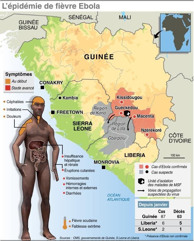 aebolacarte-de-guinee-ou-des-cas-d-ebola-se-sont-declares-et-des-pays-voisins