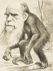 darwin500px-editorial_cartoon_depicting_charles_darwin_as_an_ape_1871